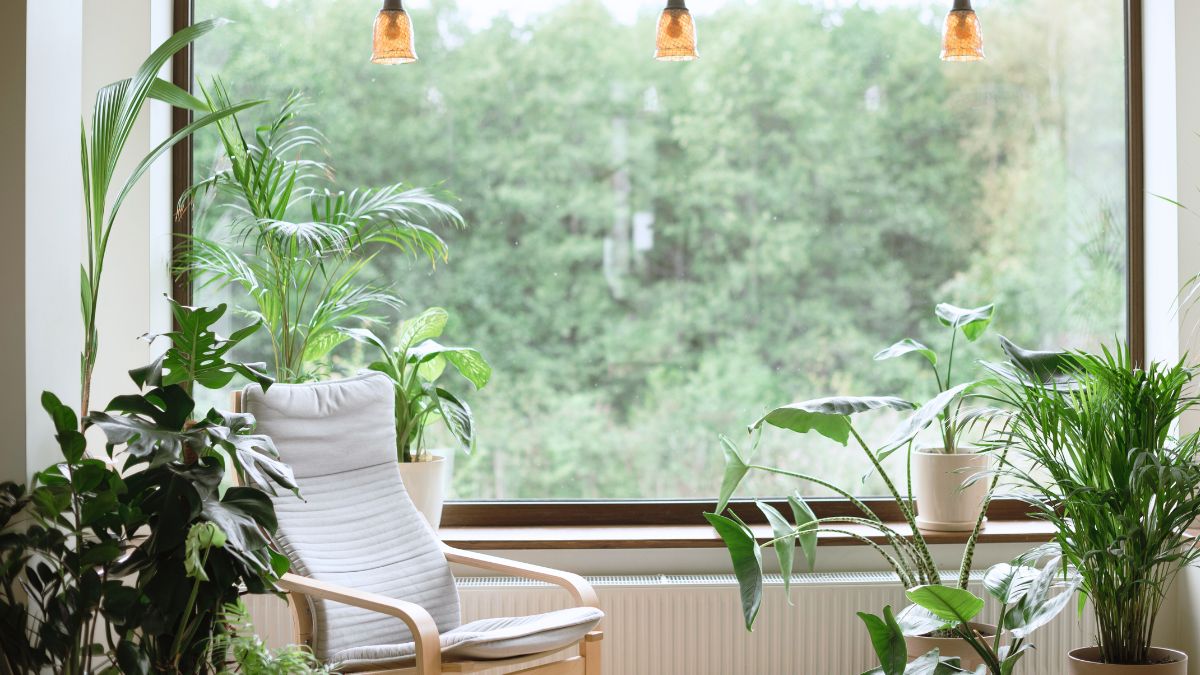 Apartamento Zen: 7 Objetos que Transformam o Ambiente